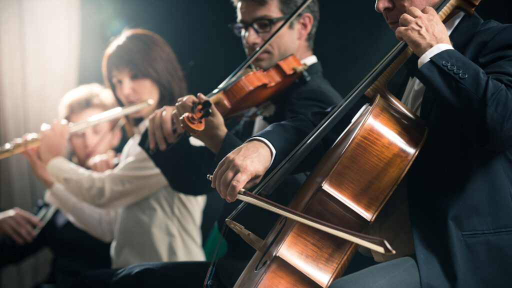 members of an orchestra